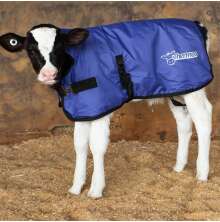 Kalvtcke Thermoo 70 cm 200g.