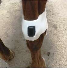 Extrafste Rheva L, 2 st/fp