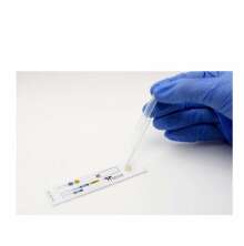 En hand som utfr ett mjlktest p ett Gram Bact papper