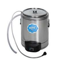 Silverfrgad pastr med sladdar i helbild